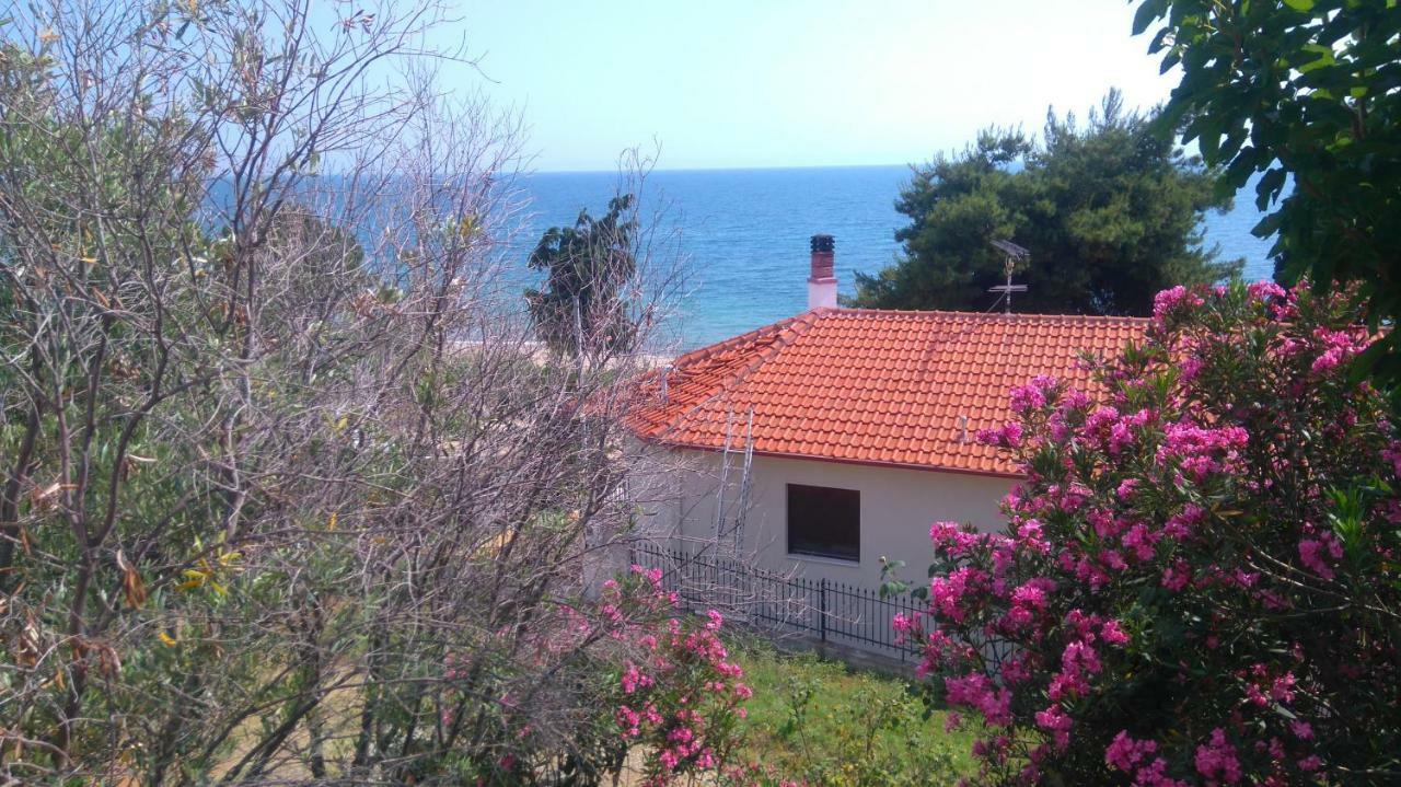 Maisonette Close To The Beach Nikiti  Extérieur photo